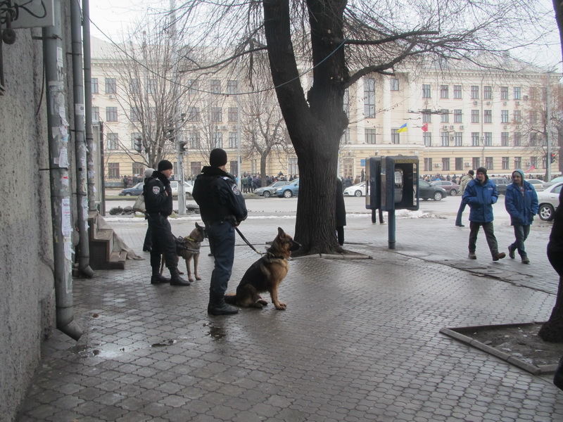 Милиция  с овчарками рядом со зданием Запорожского горсовета  на всякий случай